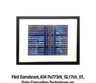 Flint Garrabrant, 34	Pa773rN_GL17ch_01, Data Corruption Techniques on Digital Image, 8 in x10 in $65