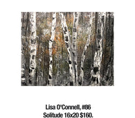 Lisa O'Connell, 86	Solitude 16x20 $160.