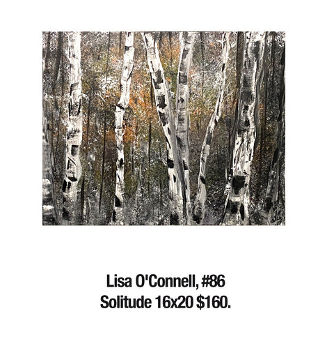 Lisa O'Connell, 86	Solitude 16x20 $160.